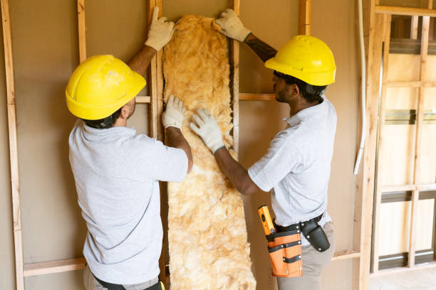 Best Attic Insulation Installation  in Vinings, GA